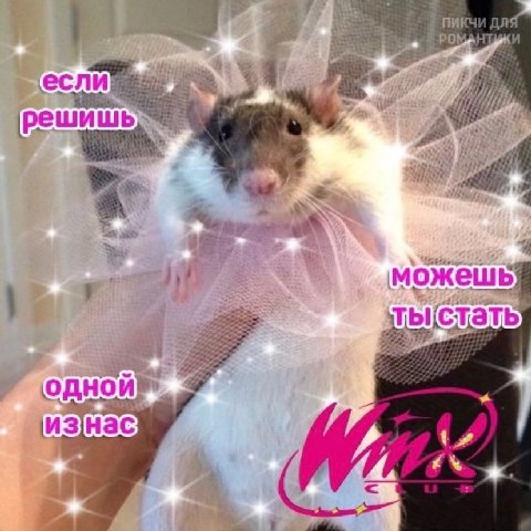 И реш можеш 5 ты (стать изнас