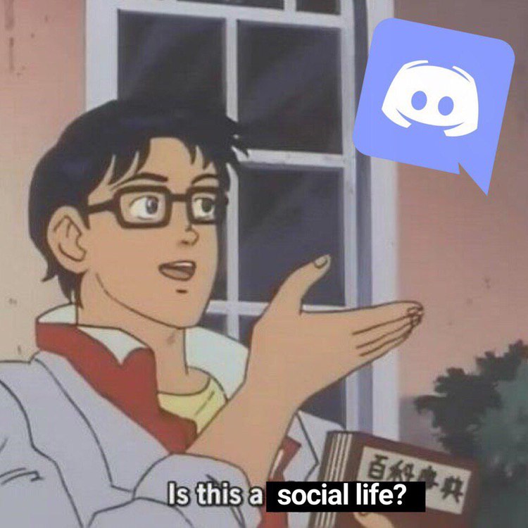 Is this a social life?