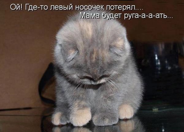 Где-то левый носочек потерял.... Мама будет руга-а-а-ать... 4