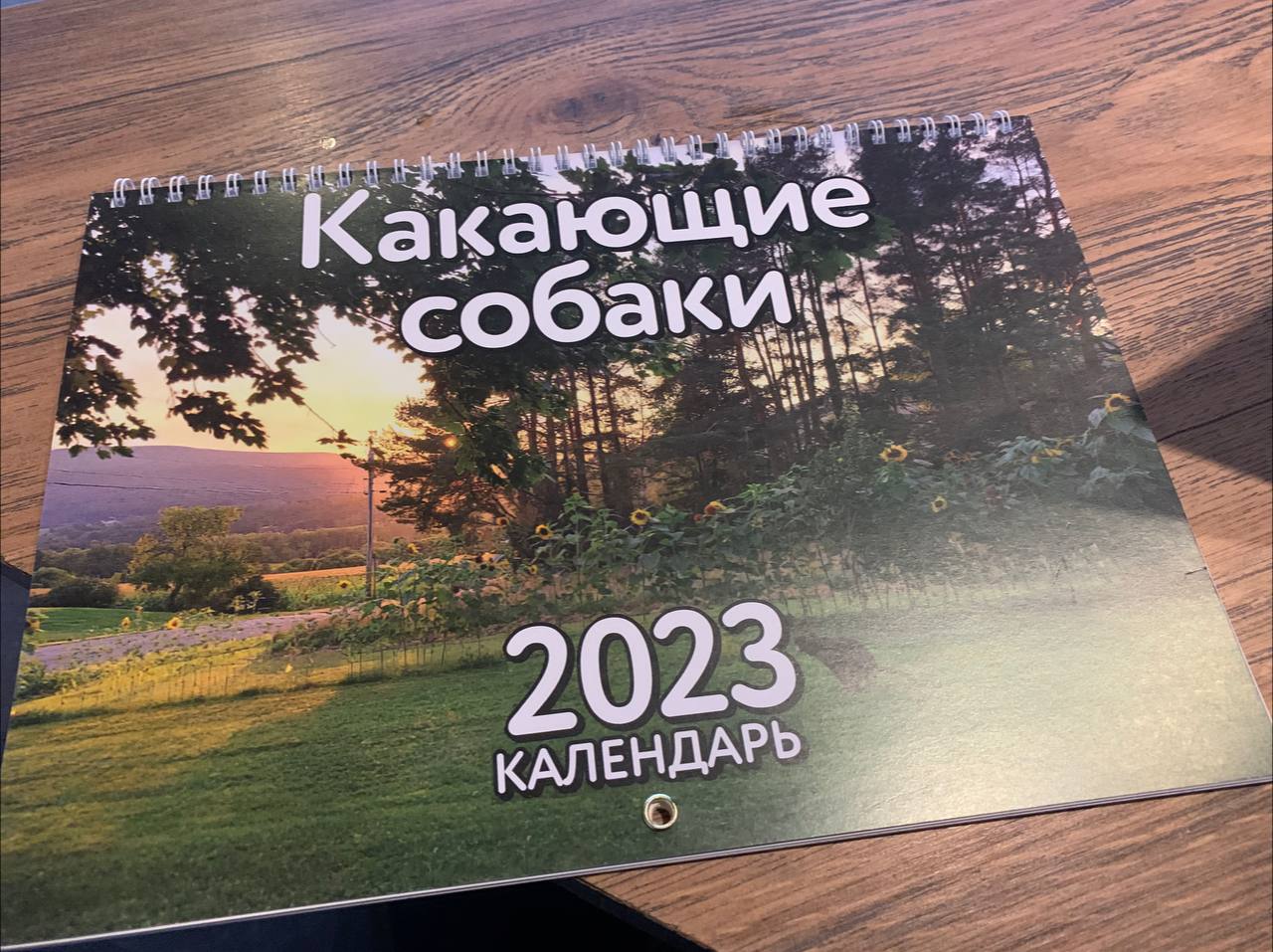 Мне подарили.