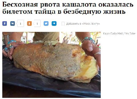 Бесхозная рвота кашалота оказалась билетом тайца в безбедную жизнь Добавить в «Мою Ленту»