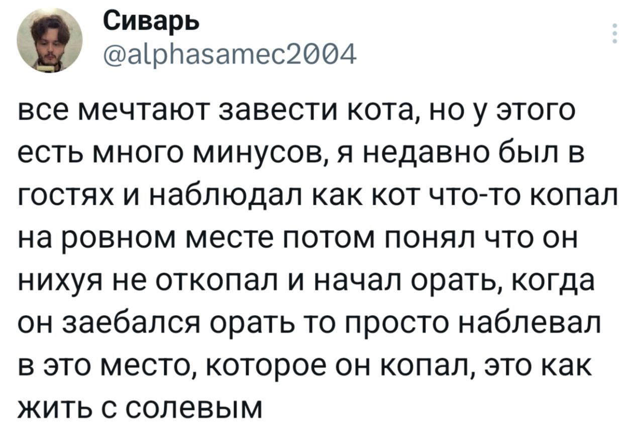 Сиварь о @alphasamec2004 все мечтают завести кота, у этого есть много минусов, я недавно был в гостях и наблюдал как кот что-то копал на ровном месте потом понял что он нихуя не откопал и начал орать,