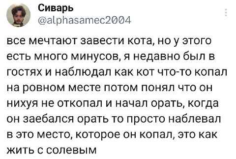 Сиварь о @alphasamec2004 все мечтают завести кота, у этого есть много минусов, я недавно был в гостях и наблюдал как кот что-то копал на ровном месте потом понял что он нихуя не откопал и начал орать,