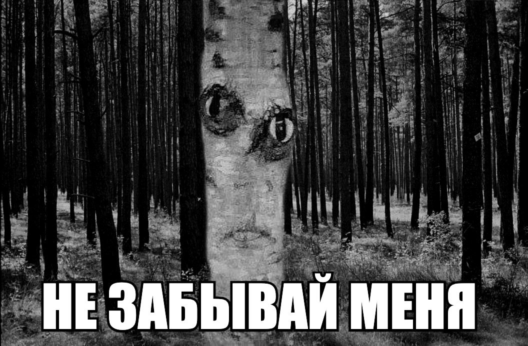 НЕ ЗАБЫВАЙ МЕНЯ