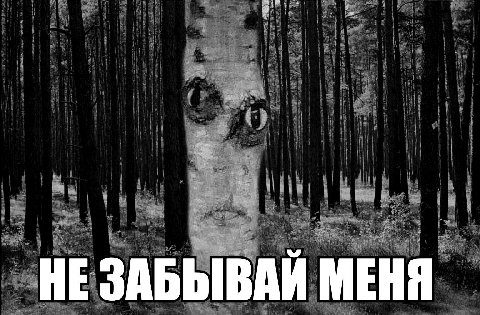 НЕ ЗАБЫВАЙ МЕНЯ