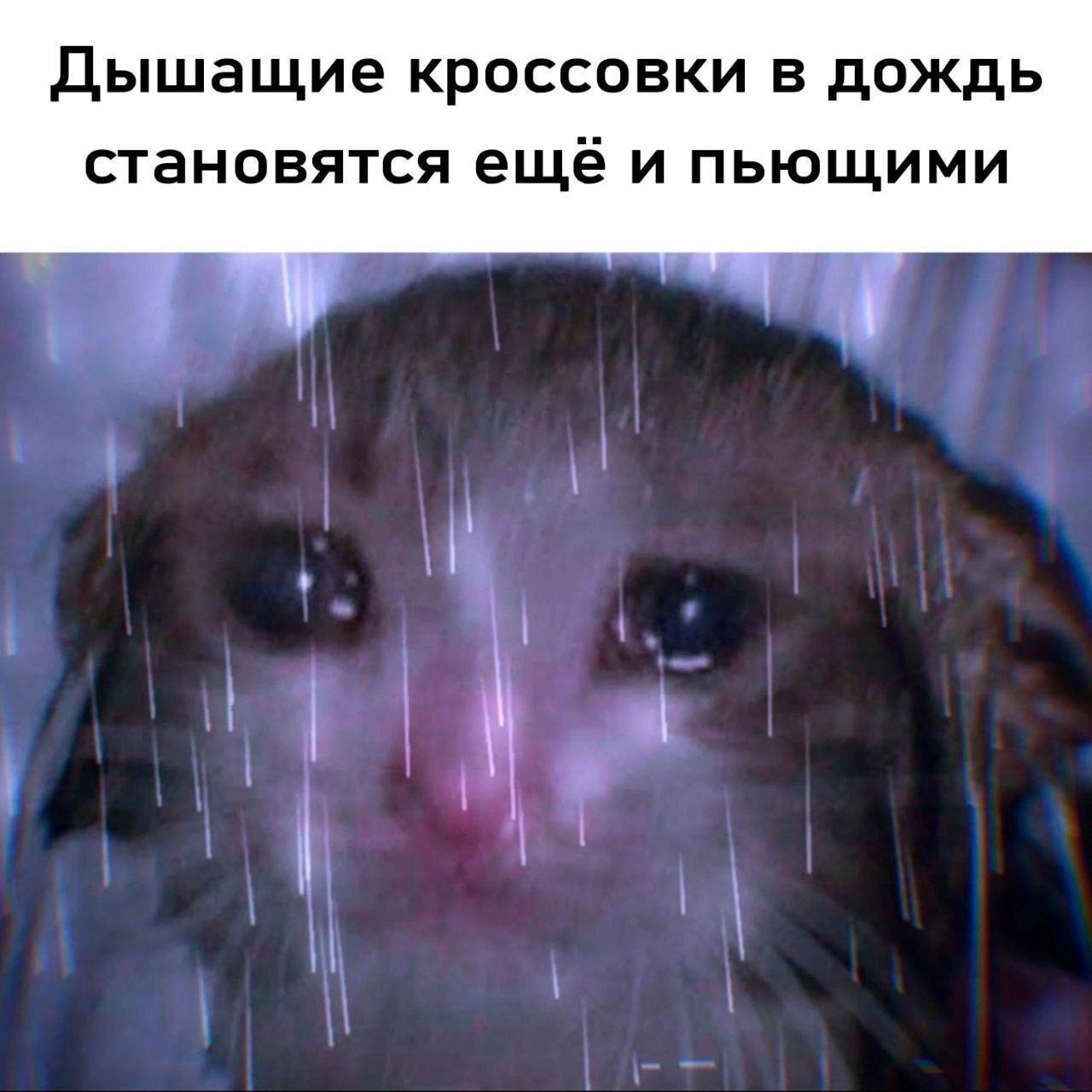 Дышащие кроссовки в дождь становятся ещё и пьющими