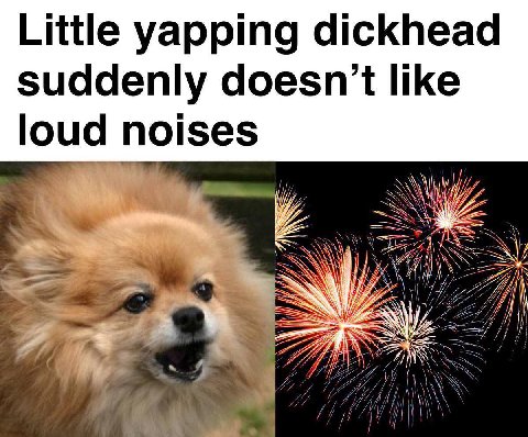 Little yapping dickhead suddenly doesn’t like loud noises a