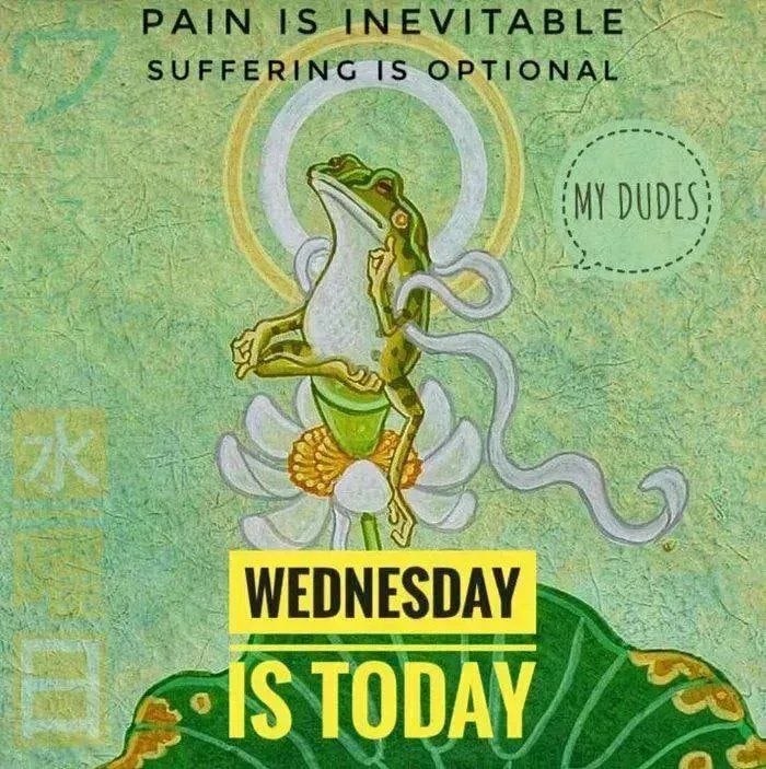 PAIN 1$. INEVITABLE SUFFERING OPTIONAL WEDNESDAY