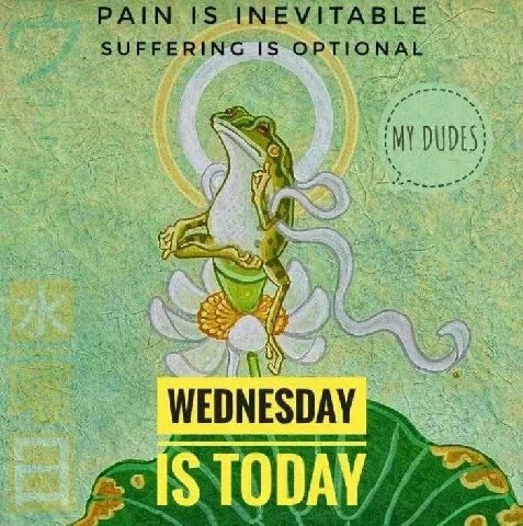 PAIN 1$. INEVITABLE SUFFERING OPTIONAL WEDNESDAY