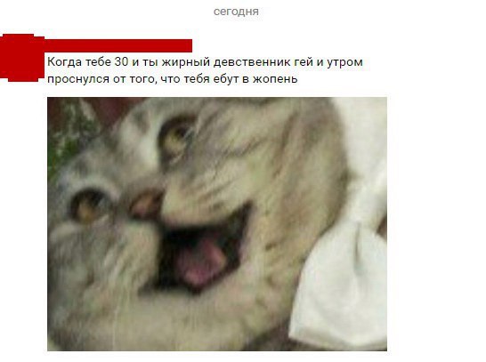сегодня Когда тебе 30 и ты жирный девственник гей и утром проснулся от того, что тебя ебут в жопень