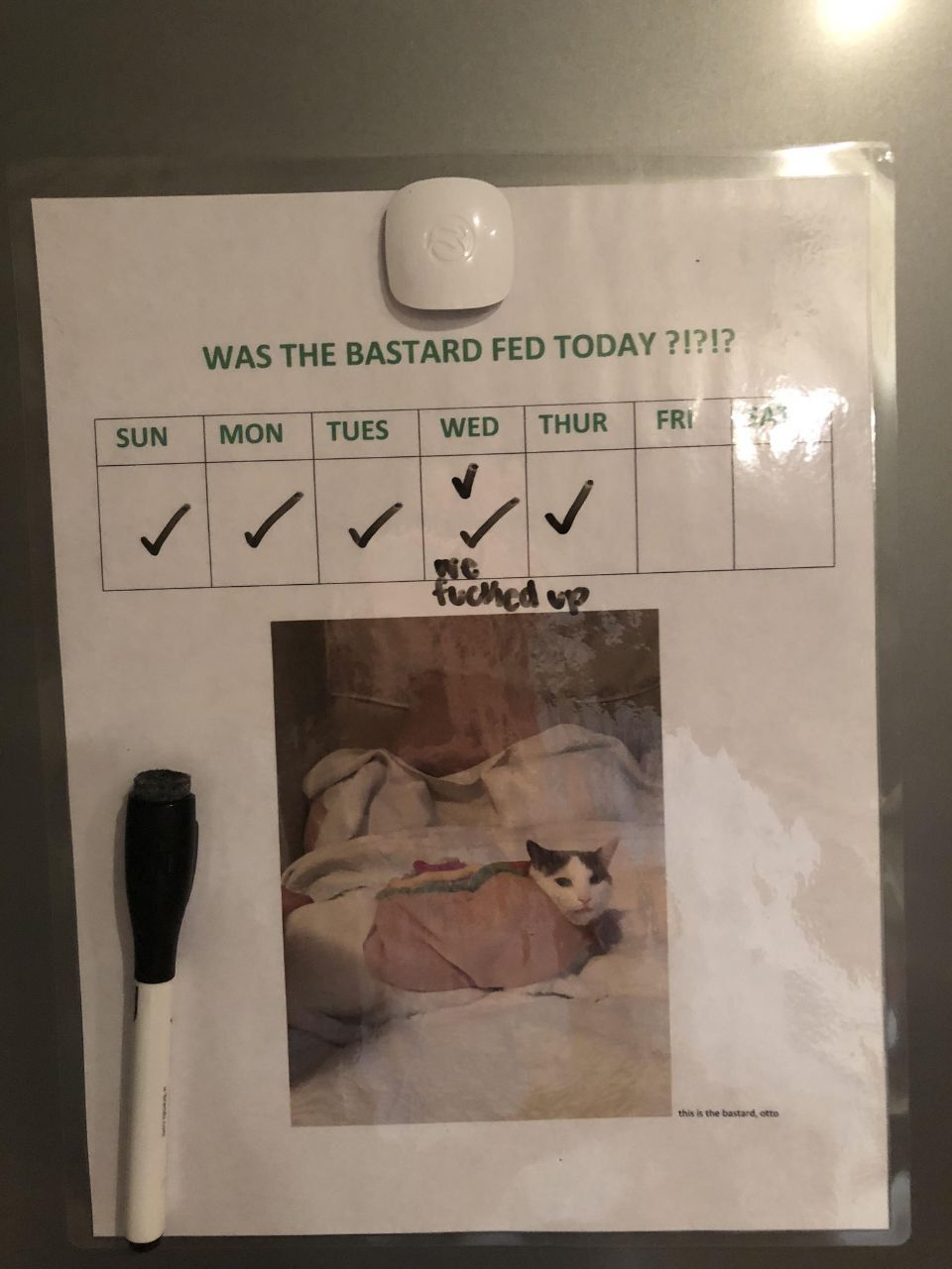 WAS THE BASTARD FED TODAY WED THUR “FRI SUN MON TUES tne bastard, a