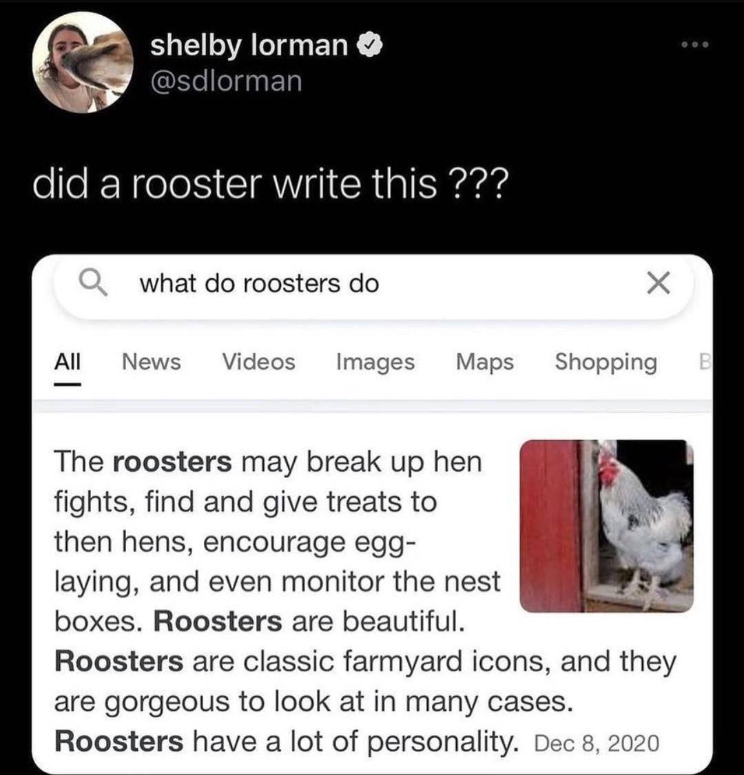 shelby lorman @sdlorman did a rooster write this what roosters News Videos Images Maps Shopping The roosters may break up hen fights, find and give treats to then hens, encourage egg- laying, and even