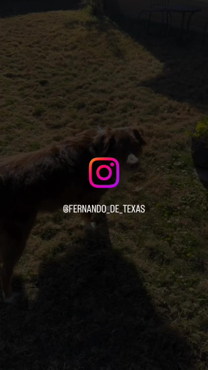 @FERNANDO_DE_TEXAS