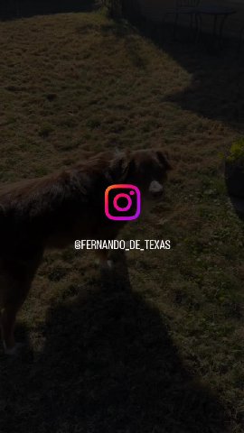 @FERNANDO_DE_TEXAS