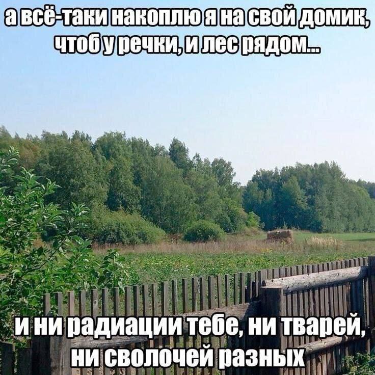 7 2%, Я диации тебе, НИ тварей, НИ сволочей разных Я