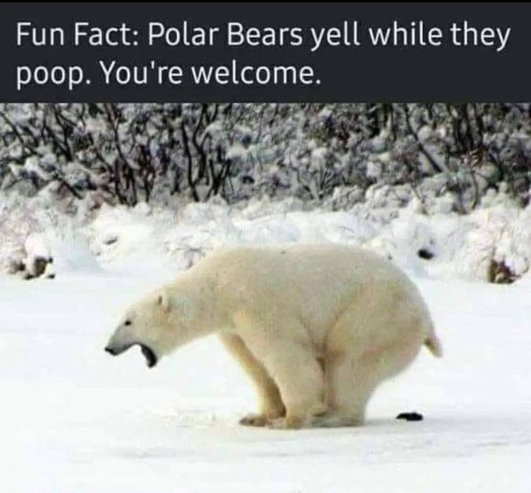 🤔