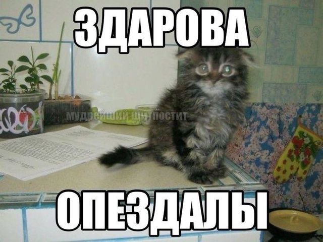 3 OBA