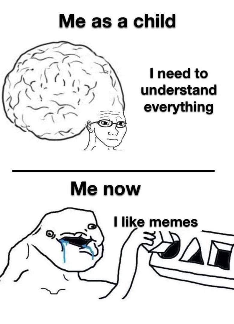 Me as а child need to understand everything пом like memes
