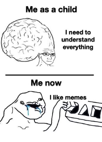 Me as а child need to understand everything пом like memes