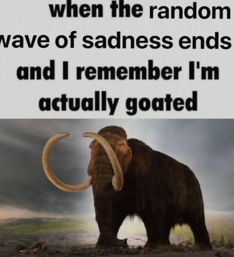 when the random vave of sadness ends and remember goated