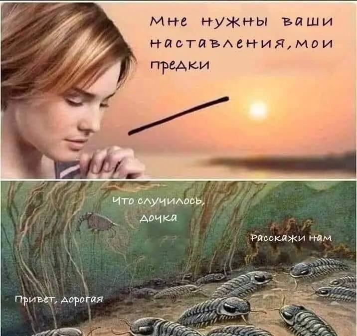 of мне нужны ваши нястявления, мои предки и 2 7 нам И дорогая 57