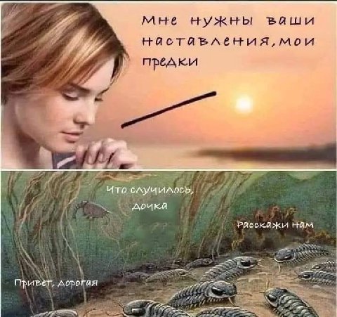 of мне нужны ваши нястявления, мои предки и 2 7 нам И дорогая 57