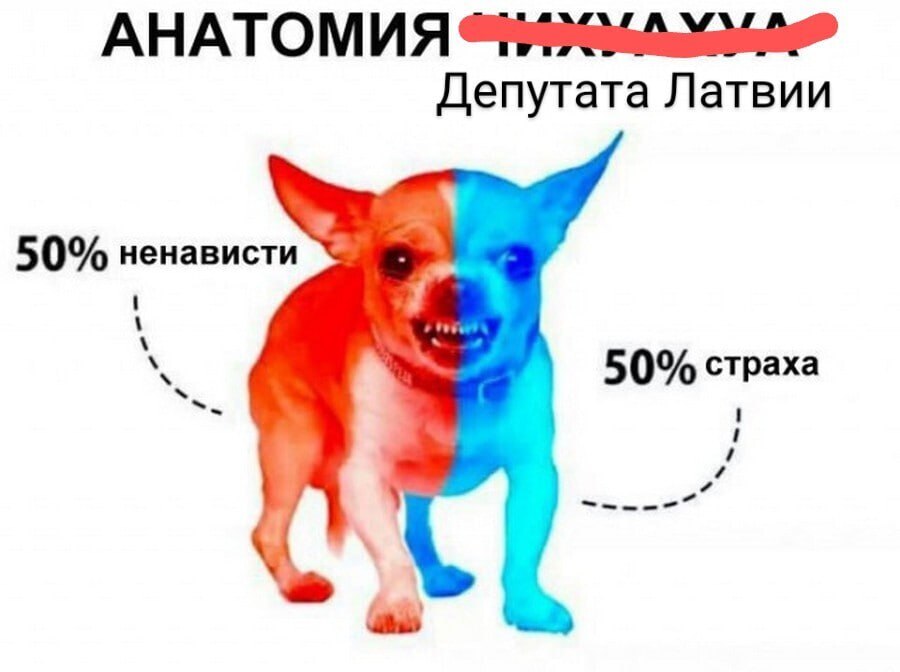 АНАТОМИЯ Депутата Латвии 50% ненависти 50% страха
