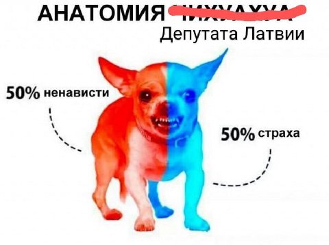 АНАТОМИЯ Депутата Латвии 50% ненависти 50% страха