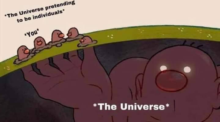 The univ you *The Universe*