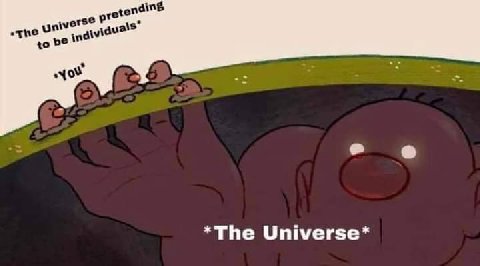 The univ you *The Universe*