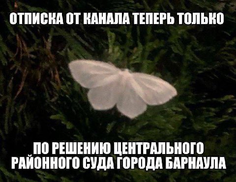 ОТПИСКА ОТ КАНАЛА ТЕПЕРЬ ТОЛЬКО ПО РЕШЕНИЮ ЦЕНТРАЛЬНОГО РАЙОННОГО СУДА ГОРОДА БАРНАУЛА
