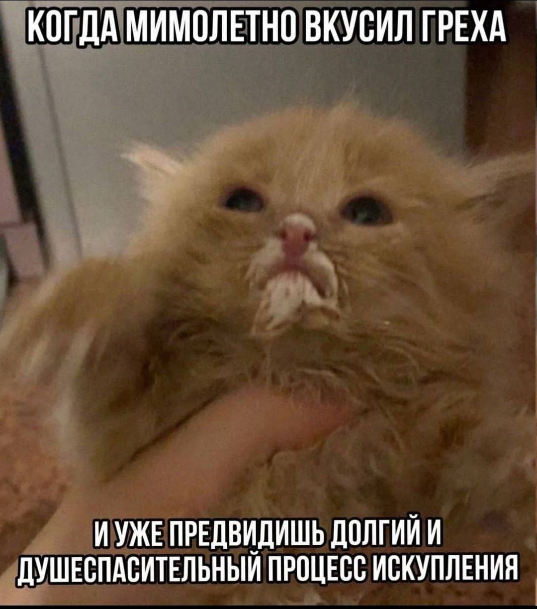 КОГДА МИМОЛЕТНО ВКУСИЛ ГРЕХА ИУЖЕ ПРЕДВИДИШЬ ДОЛГИЙ И ДУШЕСПАСИТЕЛЬНЫЙ ПРОЦЕСС ИСКУПЛЕНИЯ