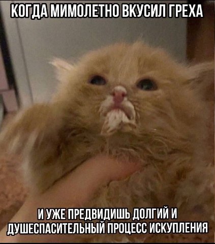 КОГДА МИМОЛЕТНО ВКУСИЛ ГРЕХА ИУЖЕ ПРЕДВИДИШЬ ДОЛГИЙ И ДУШЕСПАСИТЕЛЬНЫЙ ПРОЦЕСС ИСКУПЛЕНИЯ