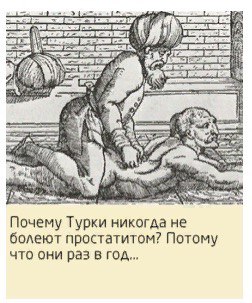 2} Почему Турки никогда не болеют простатитом? Потому что они раз в год...
