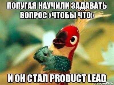 ПОПУГАЯ НАУЧИЛИ ЗАДАВАТЬ ВОПРОС «ЧТОБЫ ИОН СТАЛ PRODUCT LEAD
