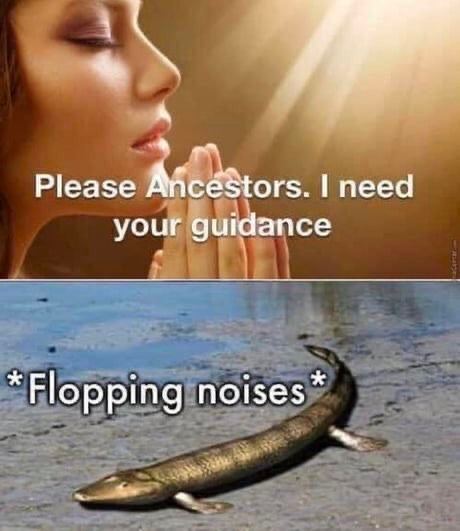 А Р!еазе need your guidance