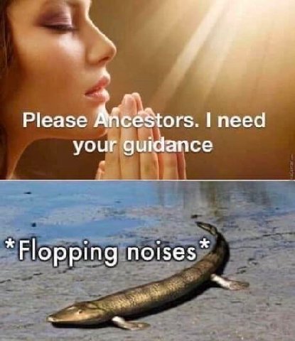 А Р!еазе need your guidance