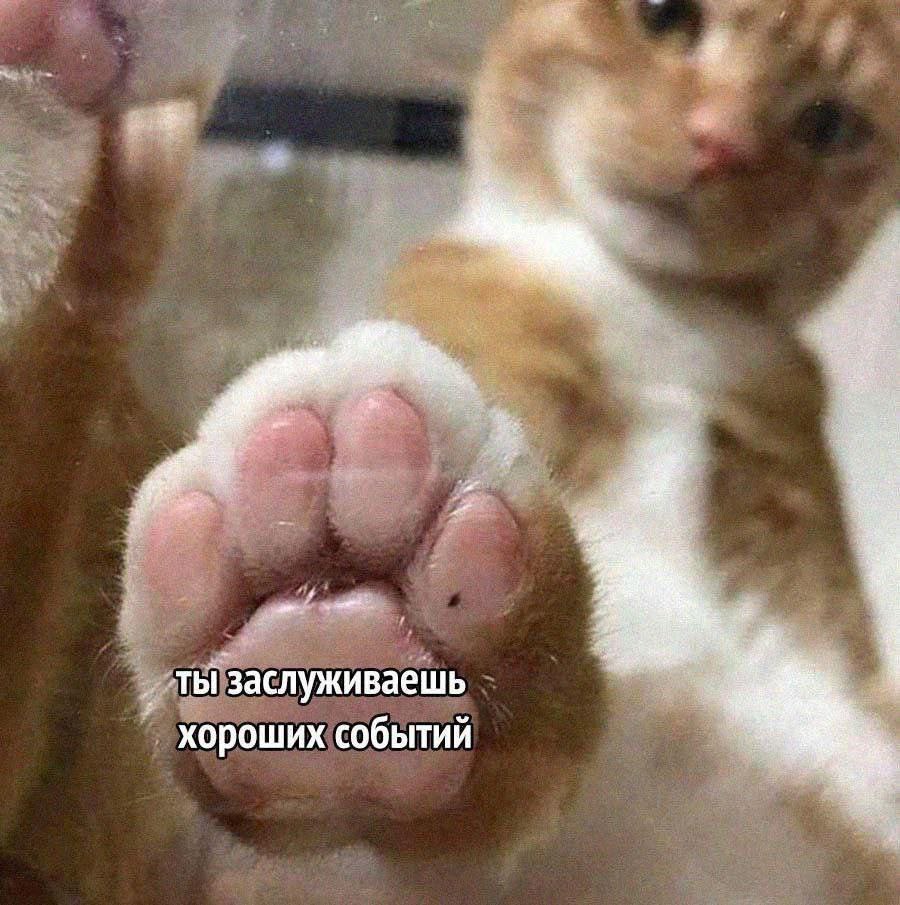 ты заслуживаешь хороших событий