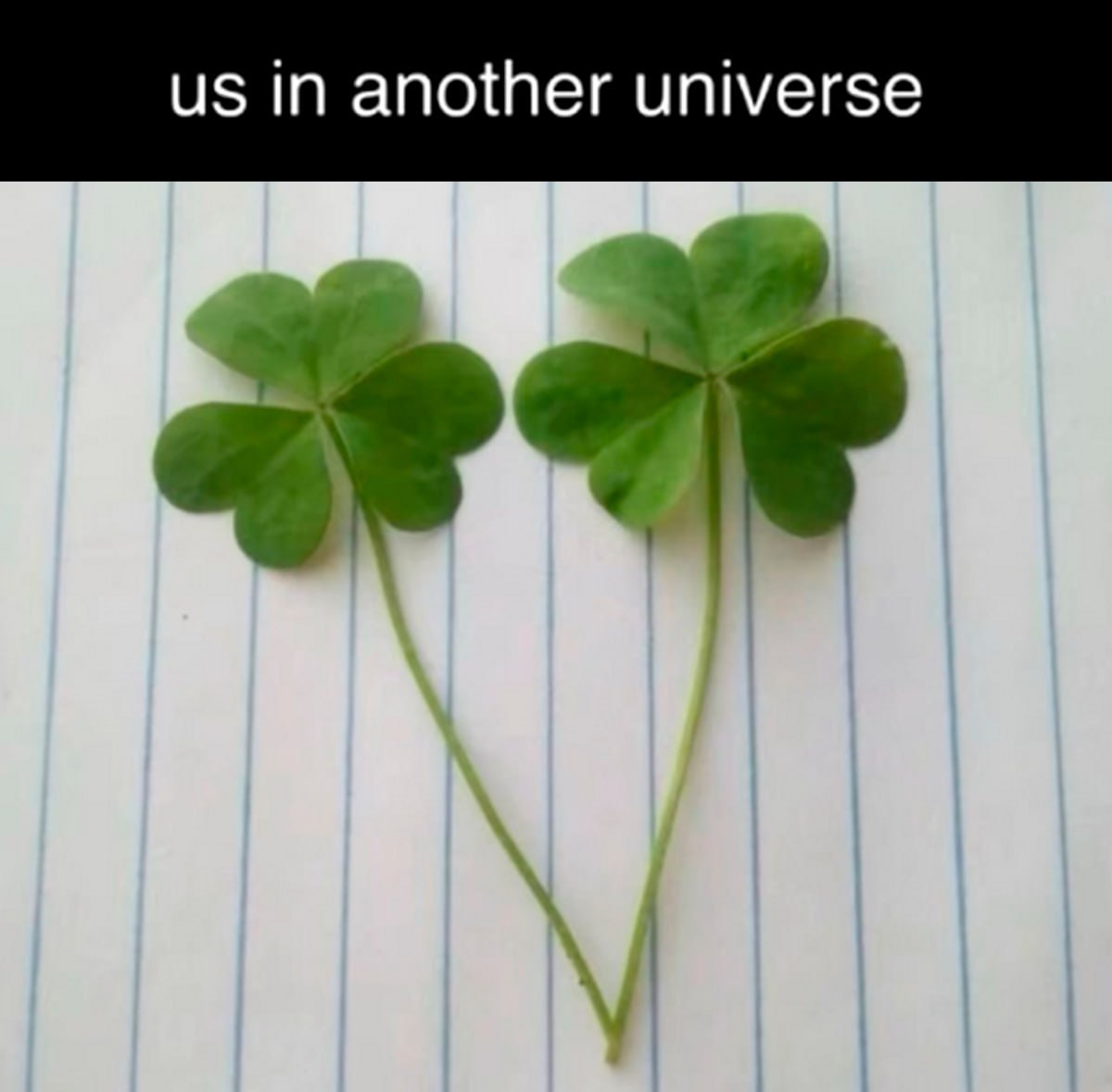 IN another universe