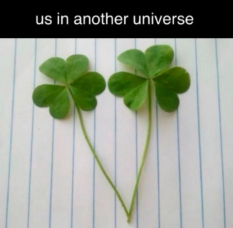 IN another universe