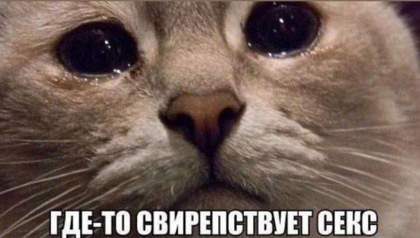 ГДЕ-ТО СВИРЕПСТВУЕТ СЕКС