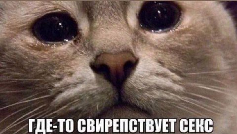 ГДЕ-ТО СВИРЕПСТВУЕТ СЕКС