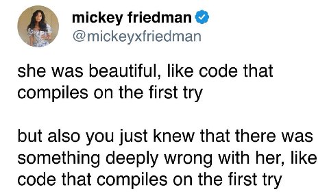 mickey friedman @mickeyxfriedman she was beautiful, like code that compiles on the first try but also you just Knew that there was something deeply wrong with her, like code that compiles on the first