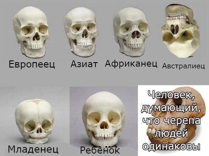 we 4 Европеец Африканец дьстралиец (4 toe ЛЮДЕЙ, Младенец ебенок одинаковы!
