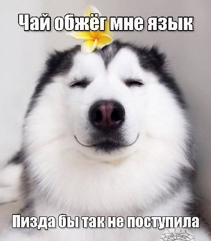 чайюбжетмнеязык эф th бБитакнепоступила