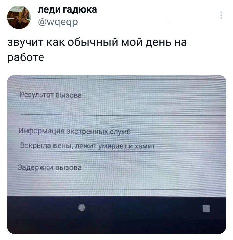 леди гадюка звучит как обычный мой день работе Результат вызова Информация экстренных служб Вскрыла вены, лежит умираети хамит Задержки вызова