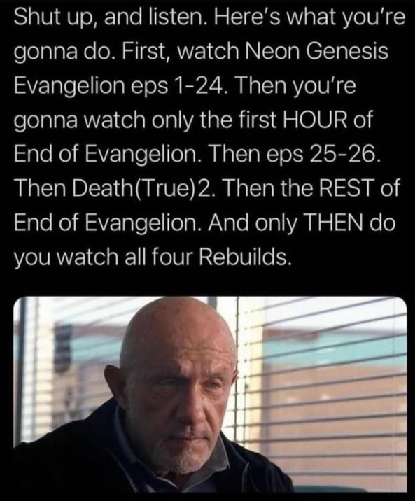 Shut up, and listen. Неге'$ what you're gonna First, watch Neon Genesis Evangelion eps 1-24. Then you're gonna watch only the first HOUR of End of Evangelion. Then eps 25-26. Then Death(True)2. Then t