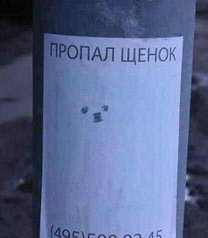 ПРОПАЛ ЩЕНОК 7