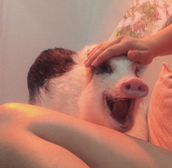 у “4 ity ber я у 3