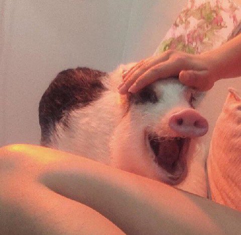 у “4 ity ber я у 3